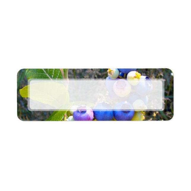 Étiquette Les bleuets sur le Bush (Devant)