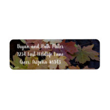 Les feuilles d'automne tout autour