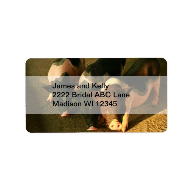 Étiquette Les Trois Petits Cochons (Devant)