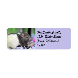 Étiquette Lil rat