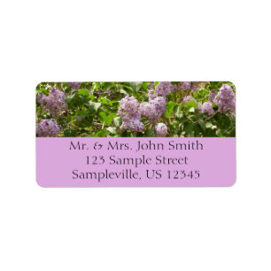 Étiquette Lilac Bush Belles fleurs de printemps violettes