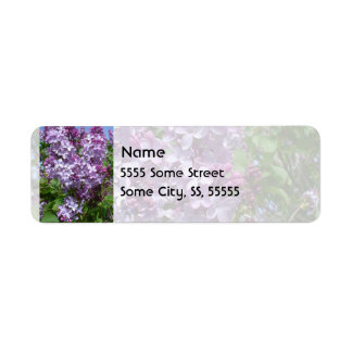 Étiquette Lilacs pourpres