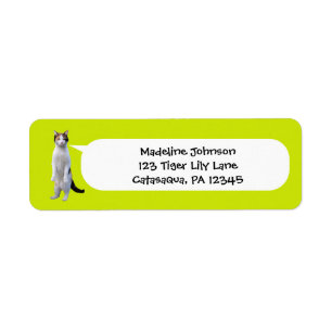 Étiquette Lime Green Funny Standing Cat Photo Retour Adresse