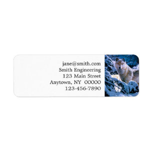 Étiquette Loup dans la peinture de la forêt d'hiver