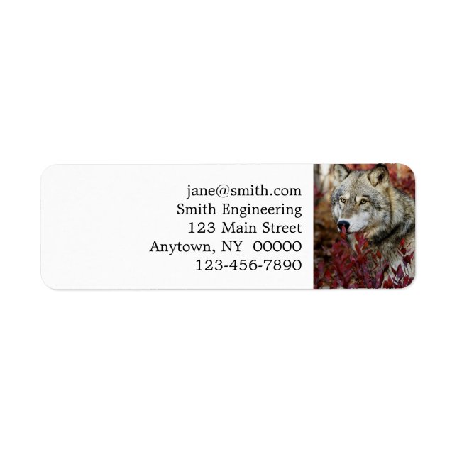 Étiquette Loup dans l'affaire Foliage (Devant)