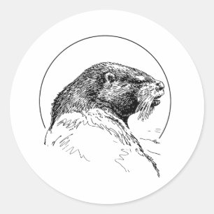 ÉTIQUETTE LOUTRE