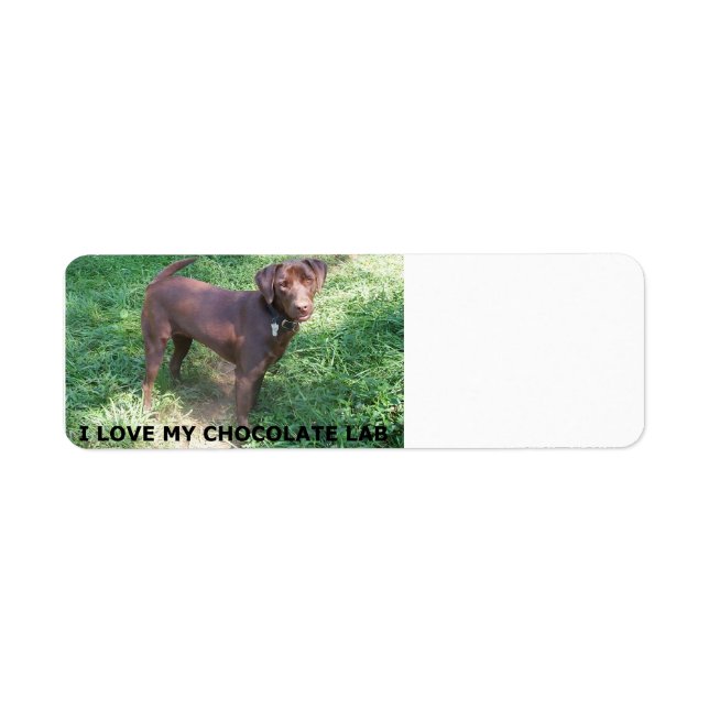 Étiquette LR chocolat amour de laboratoire avec l'image (Devant)