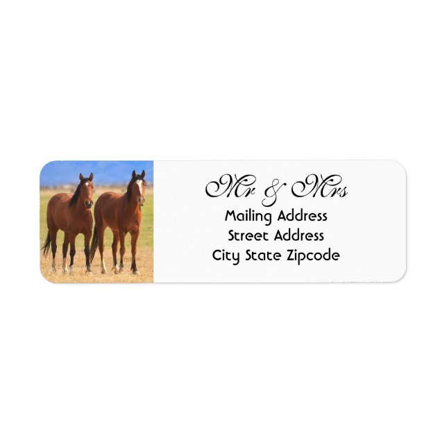 Étiquette M. et Mme Horse Adresse de retour (Devant)