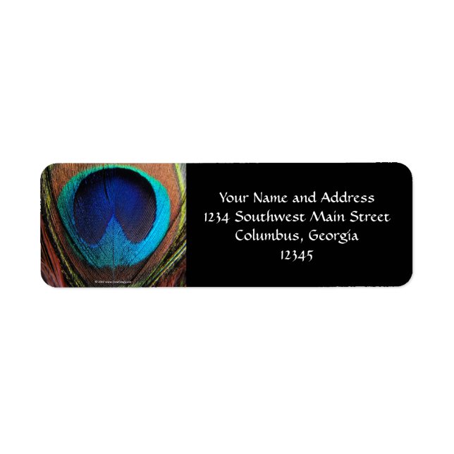 Étiquette Macro Peacock Feather Rich Blues Photographie (Devant)