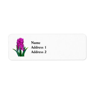 Étiquette Magenta Hyacinth