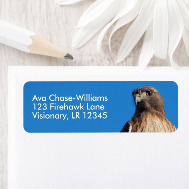 Étiquette Magnifique Buse à queue rouge au soleil (En situation)