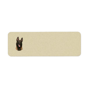 Étiquette malinois belge