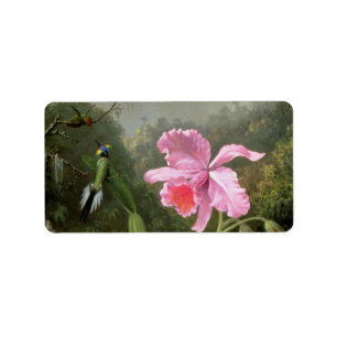 Étiquette Martin Johnson Heade Orchid Et Hummingbirds