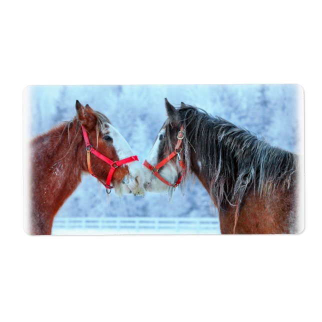 Étiquette Meilleurs amis (Devant)