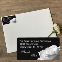 Merci à la rose blanche