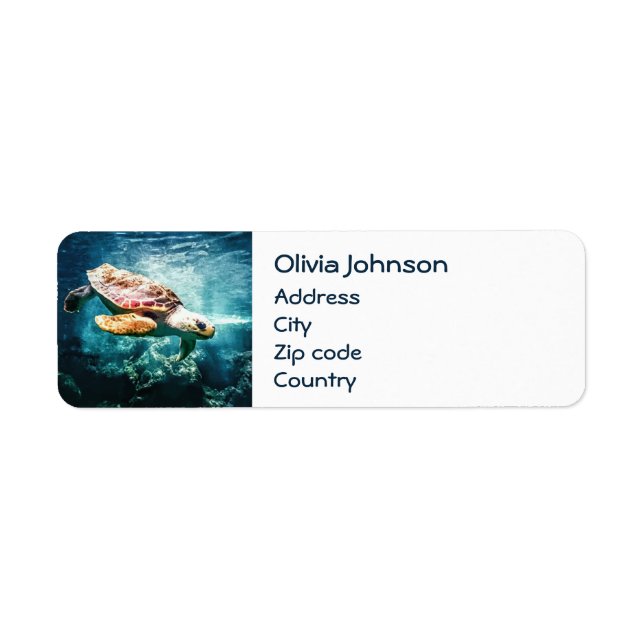Étiquette Merveilleuse Tortue de mer Océan Vie Turquoise Mer (Devant)