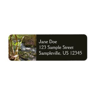 Étiquette Mingus Creek dans les Smoky Mountains