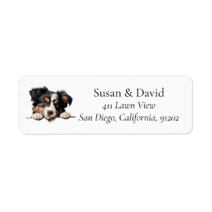 Étiquette Miniature American Shepherd Chien de race Amateurs