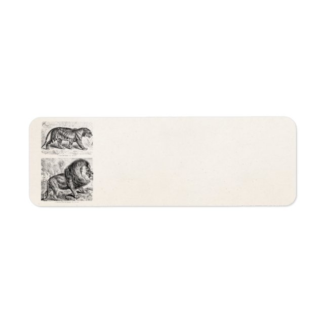 Étiquette Modèle d'illustrations de tigres vintages (Devant)