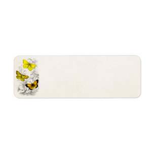 Étiquette Modèle jaune-orange de papillons de 1800s vintage