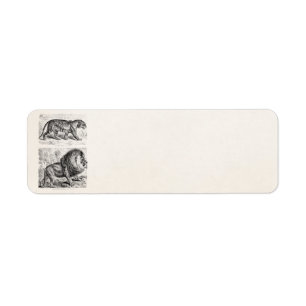 Étiquette Modèle vintage de tigres d'illustration de tigre
