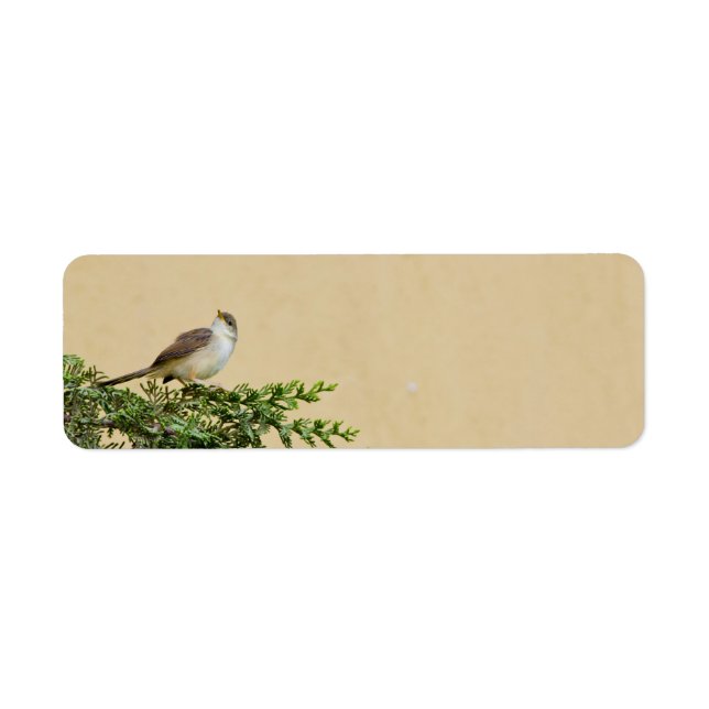 Étiquette Moineau (Devant)
