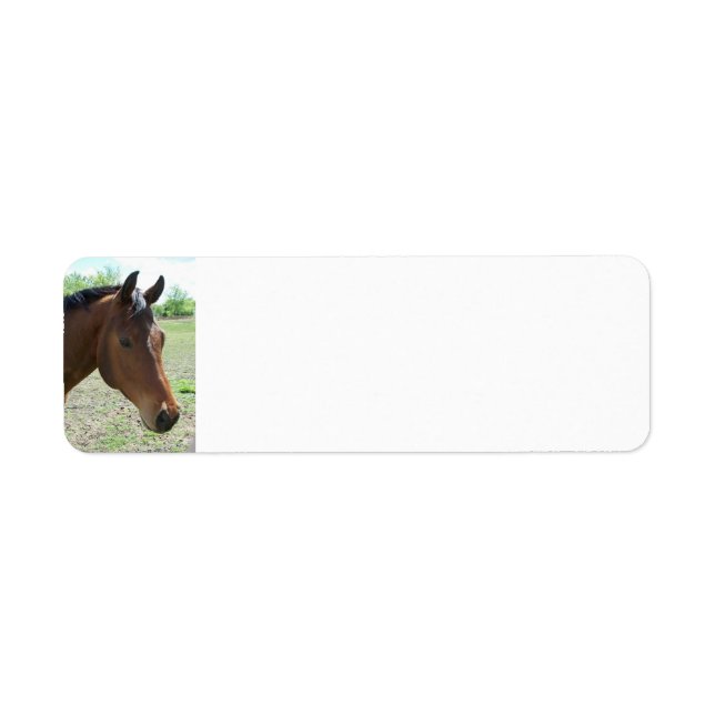 Étiquette Mon Ami, Le Cheval - Personnalisé (Devant)