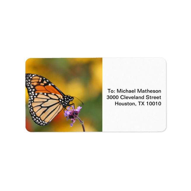 Étiquette Monarch Butterfly In Search of Pollen (Devant)