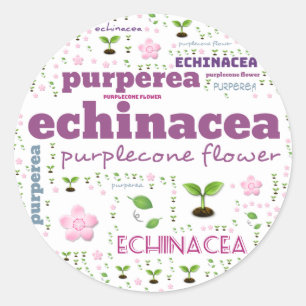 Étiquette MOT HERBE - HERBES/VÉGÉTABLE - PURPLECON