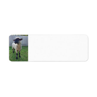 Étiquette Mouton