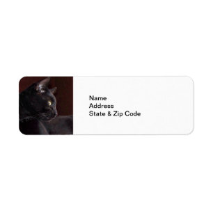 Étiquette My Boy, Charlie Return Address Labels