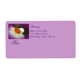 Étiquette Narcissus - Beauté du printemps