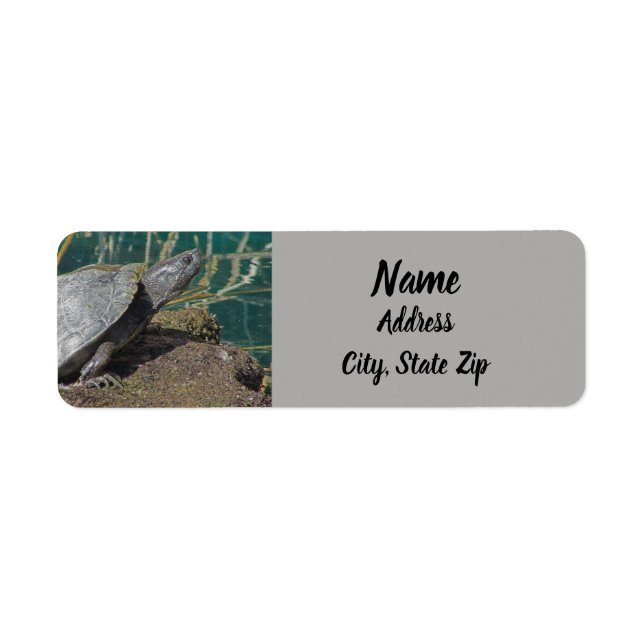 Étiquette Nature Turtle Photo Reptile Lake Adresse animale (Devant)