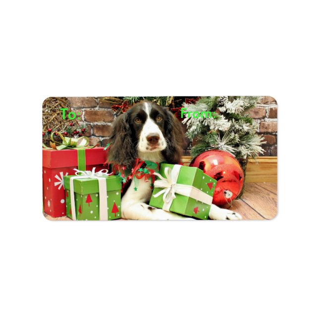 Étiquette Noël - Anglais Springer Spaniel - Kinzie (Devant)