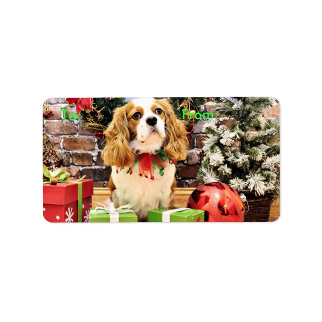 Étiquette Noël - Cavalier King Charles Spaniel Maverick (Devant)