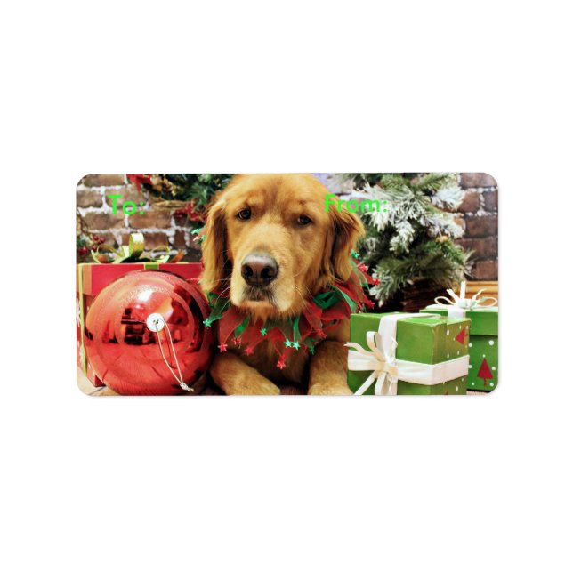 Étiquette Noël - Golden Retriever - Zoe (Devant)