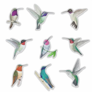 Étiquette nord-américaine de colibris