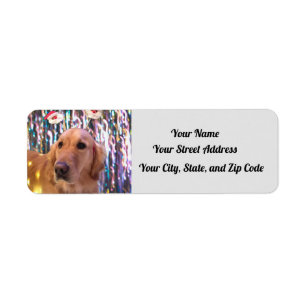 Étiquette Nova The Golden Retriever - Père Noël Paws - Adres