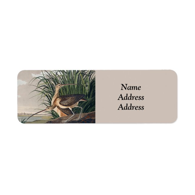 Étiquette Oiseau de Courlis à long bec Audubon (Devant)