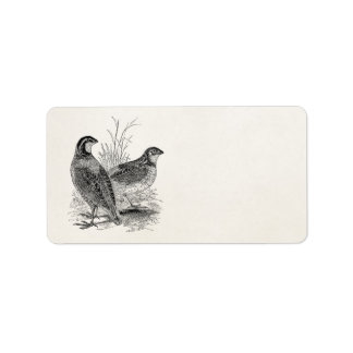 Étiquette Oiseaux de Quail vintages - Personnalisé Retro Jeu