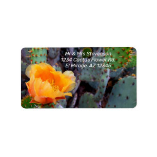 Étiquette Orange Cactus Fleur Blossom Prickly Pear Opuntia