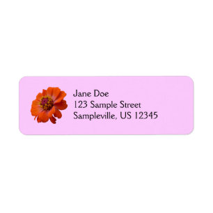 Étiquette Orange Zinnia Fleur sauvage Nature Florale