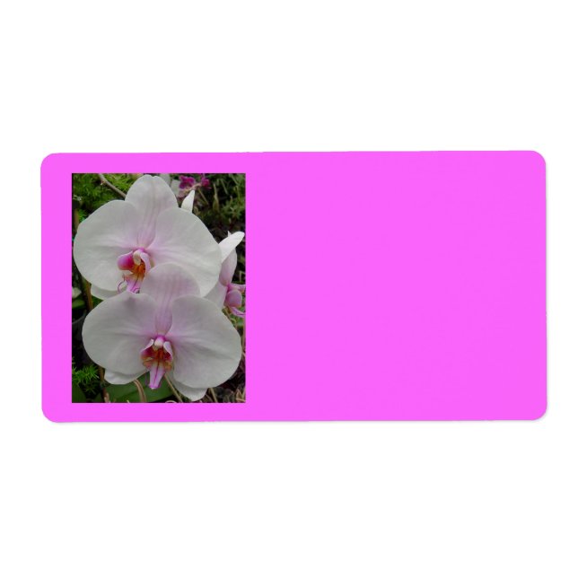 Étiquette Orchidée - Fleur rose (Colossiens 2:3) (Devant)