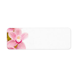 Étiquette Orchidée rose