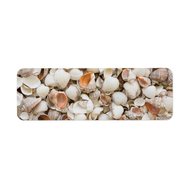 Étiquette Originale nature motif style Seashell arrière - pl (Devant)