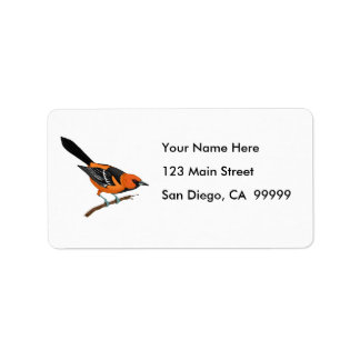 Étiquette Oriole de Baltimore sur une brindille