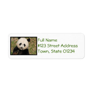 Étiquette Ours panda géant mignon