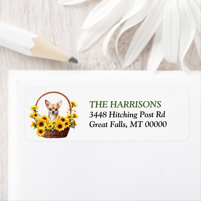Étiquette Panier de tournesol Chihuahua Chig (En situation)
