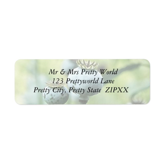 Étiquette Papaver Somniferum Têtes de graines (Devant)