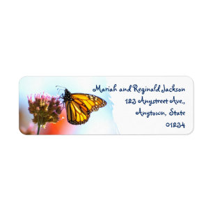 Étiquette Papillon de monarque rougeoyant sur la fleur